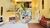 Casa, 3 quartos, 561 m² - Foto 25