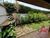 Casa, 5 quartos, 181 m² - Foto 3