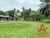 Terreno, 1170 m² - Foto 4