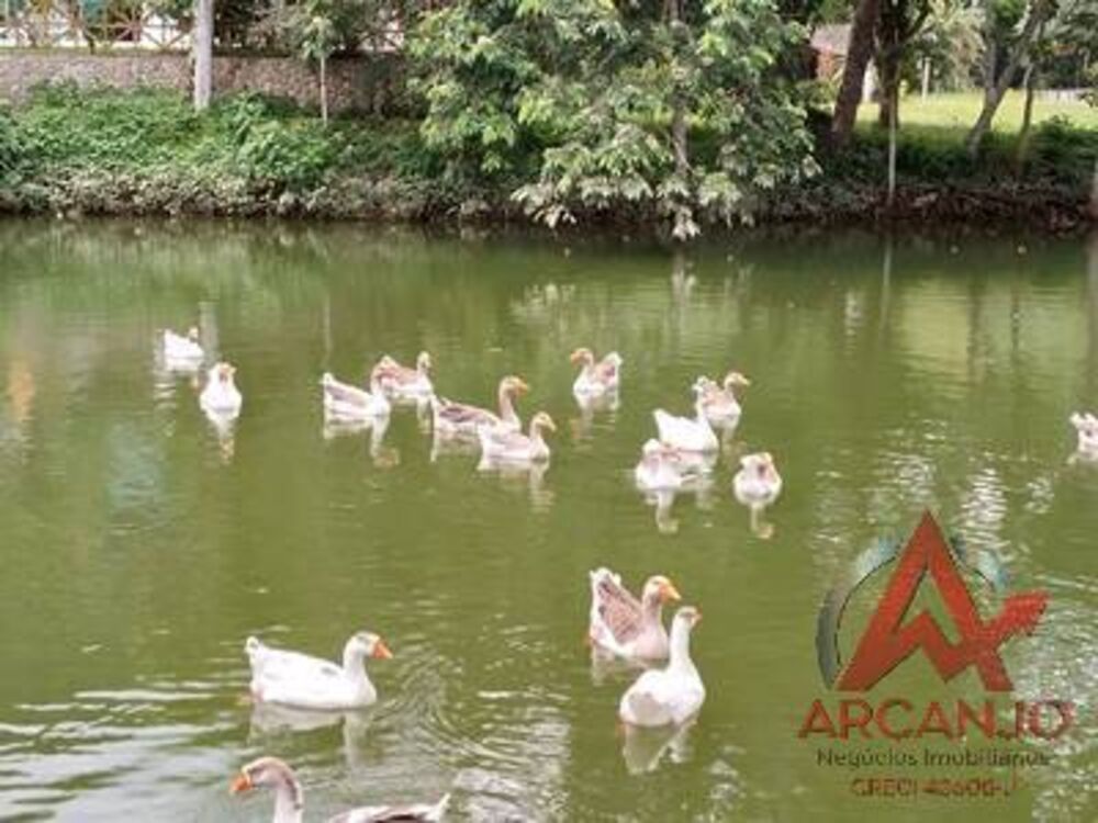 Terreno, 1170 m² - Foto 7