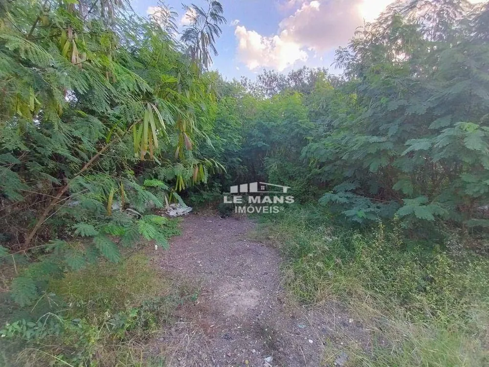 Terreno, 5792 m² - Foto 7