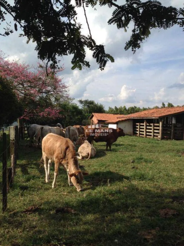 Sítio, 31 hectares - Foto 12
