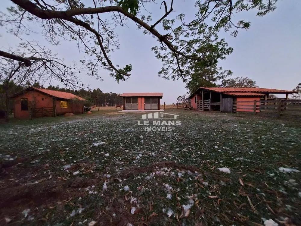 Sítio, 31 hectares - Foto 1
