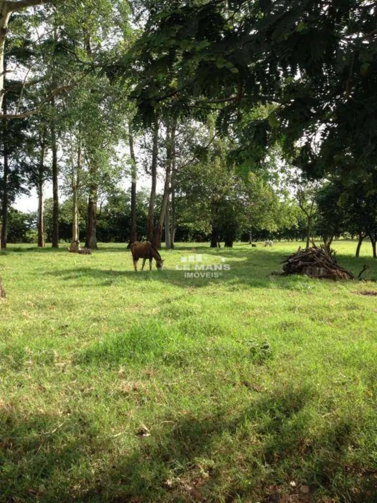 Sítio, 31 hectares - Foto 10