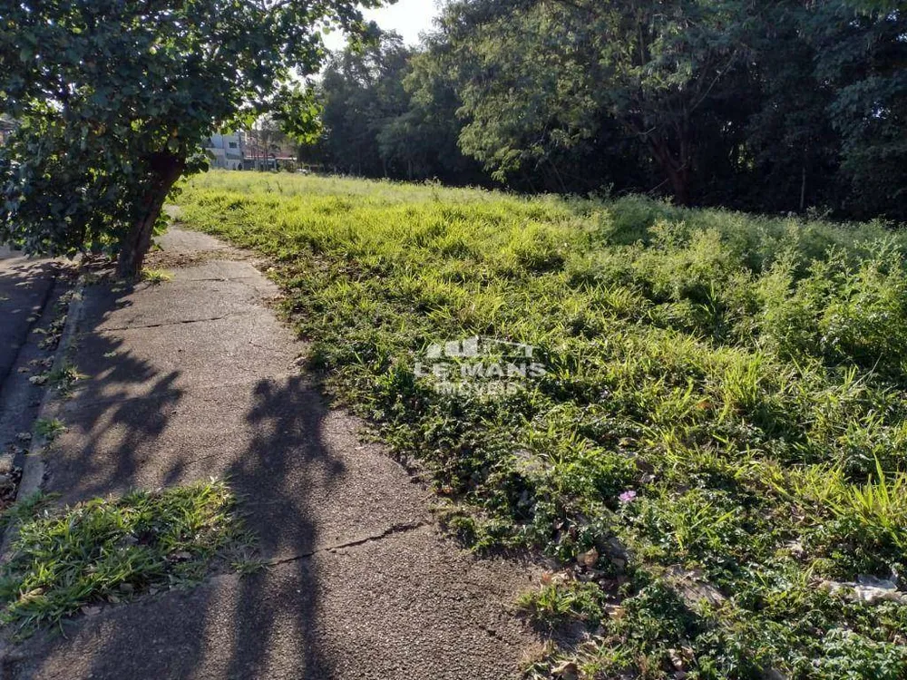 Terreno, 1 hectares - Foto 4