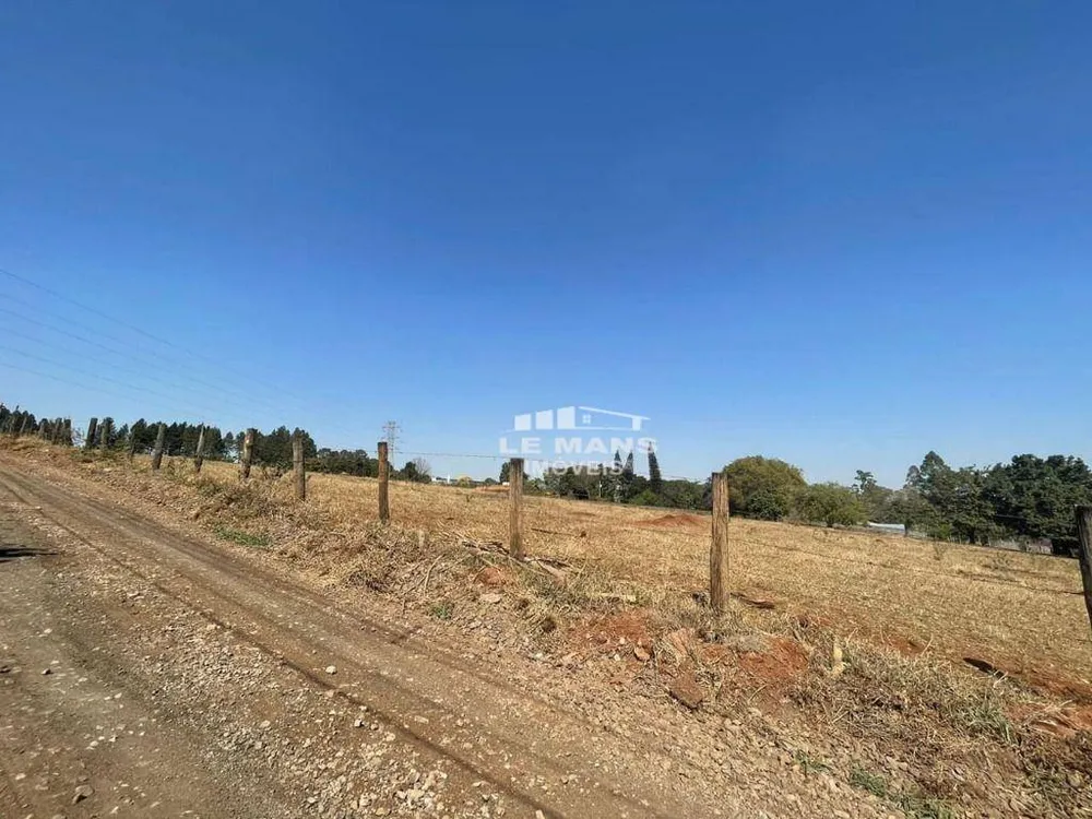 Terreno, 3 hectares - Foto 7