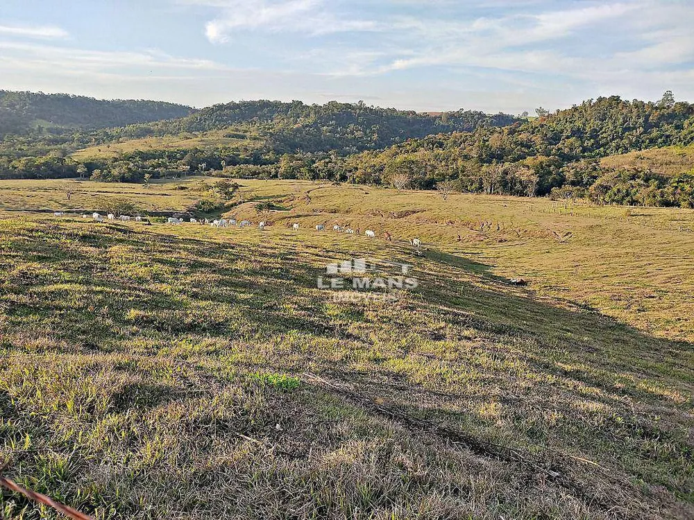 Fazenda, 182 hectares - Foto 9