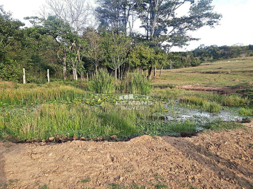 Fazenda, 182 hectares - Foto 11