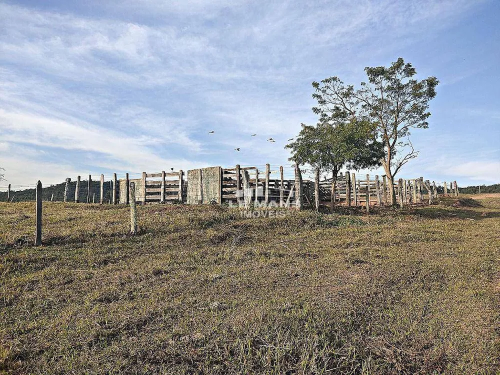 Fazenda, 182 hectares - Foto 6