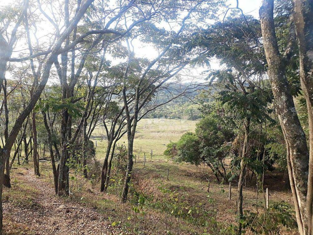 Fazenda à venda, 40m² - Foto 3