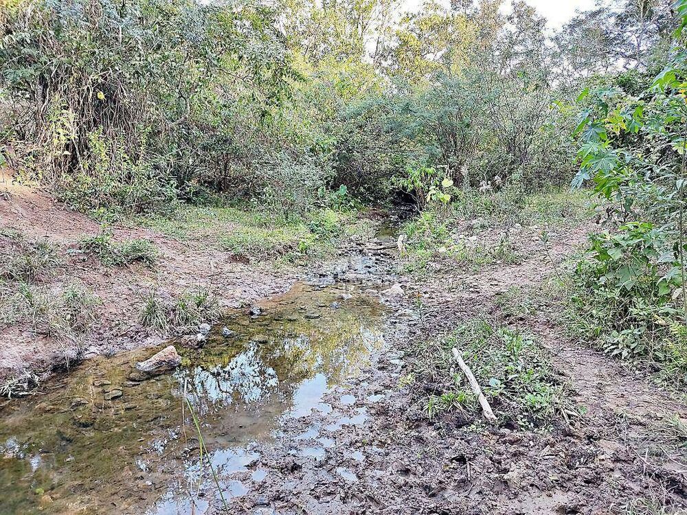 Fazenda à venda, 40m² - Foto 1