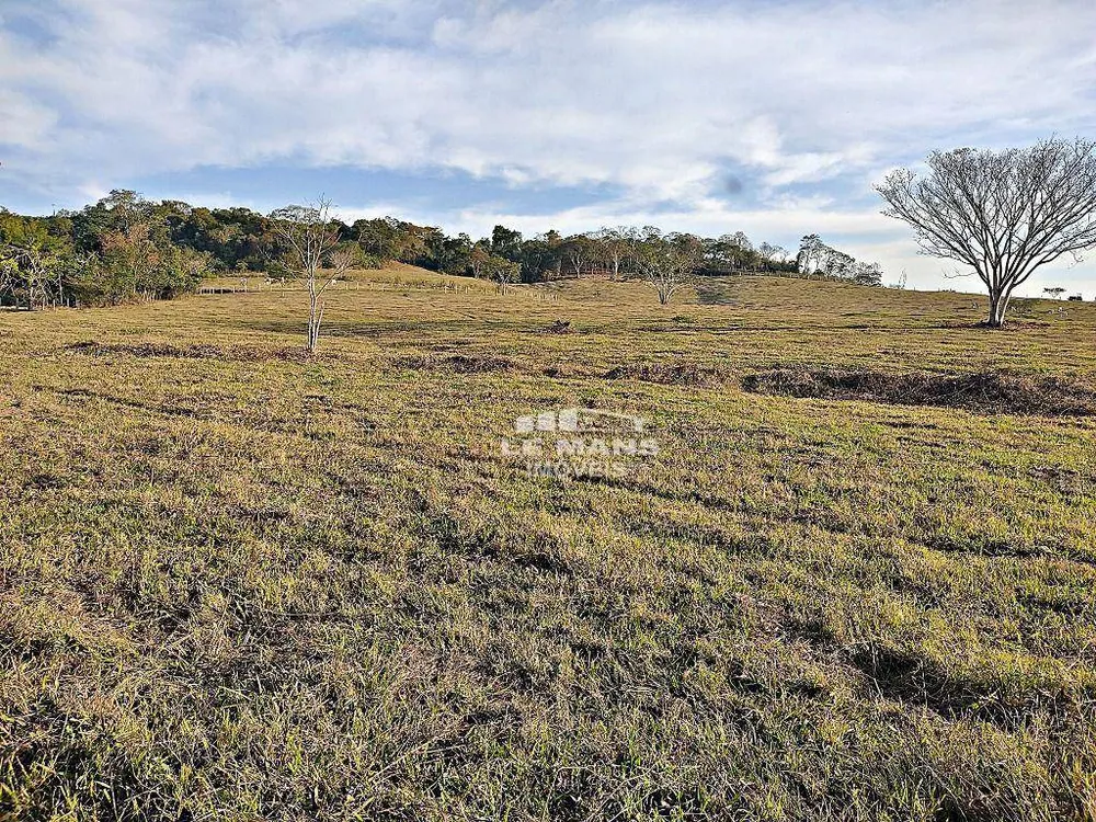 Fazenda, 182 hectares - Foto 7