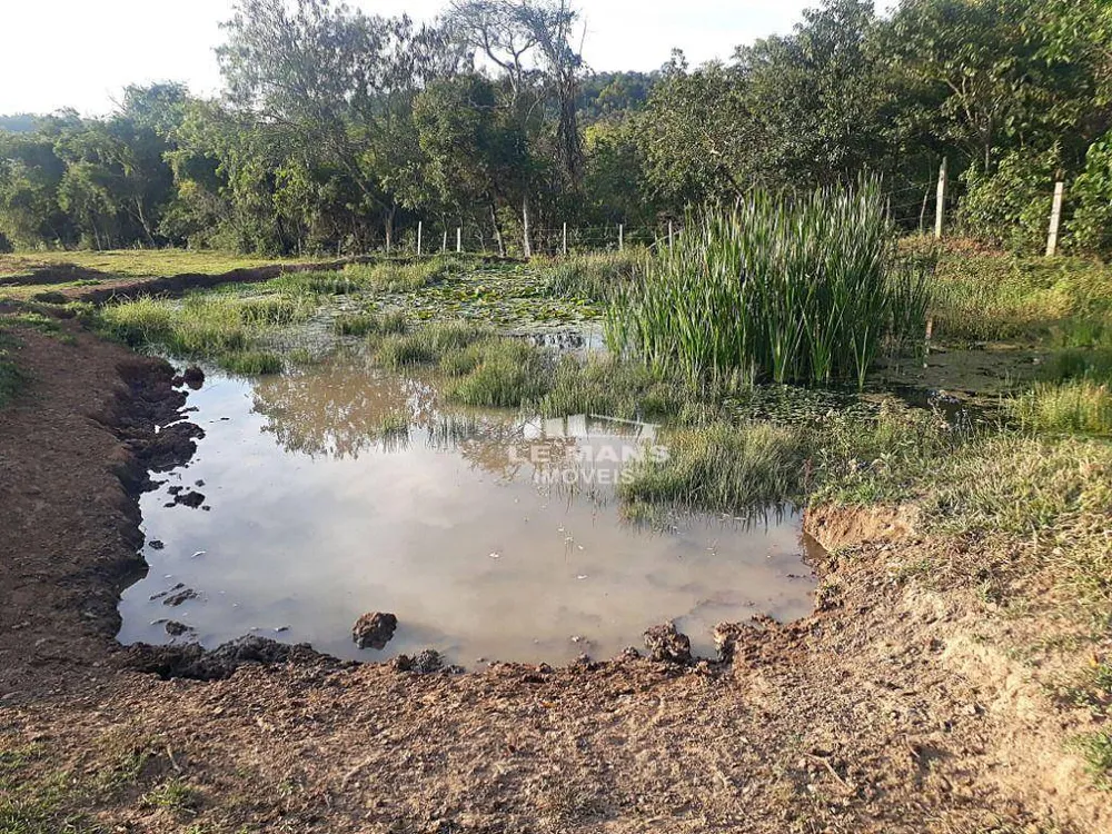 Fazenda, 182 hectares - Foto 12