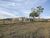 Fazenda, 182 hectares - Foto 2