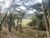 Fazenda, 182 hectares - Foto 3