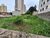 Terreno, 1550 m² - Foto 1