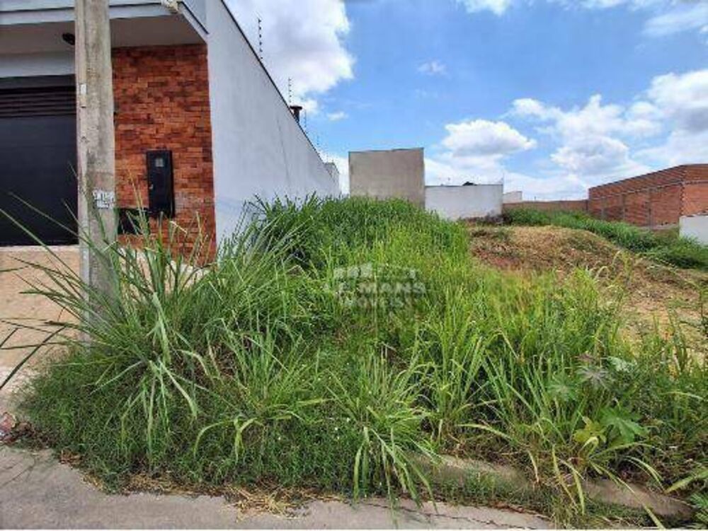 Terreno, 244 m² - Foto 1