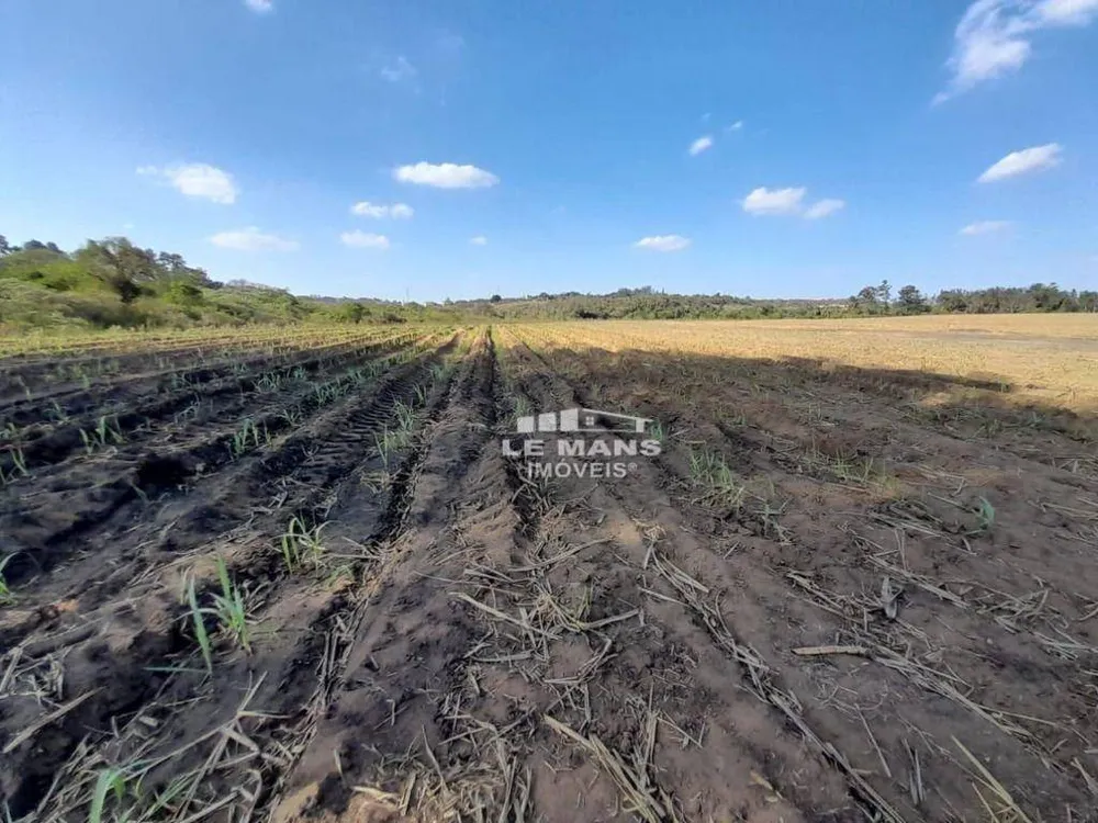Terreno, 70 hectares - Foto 2