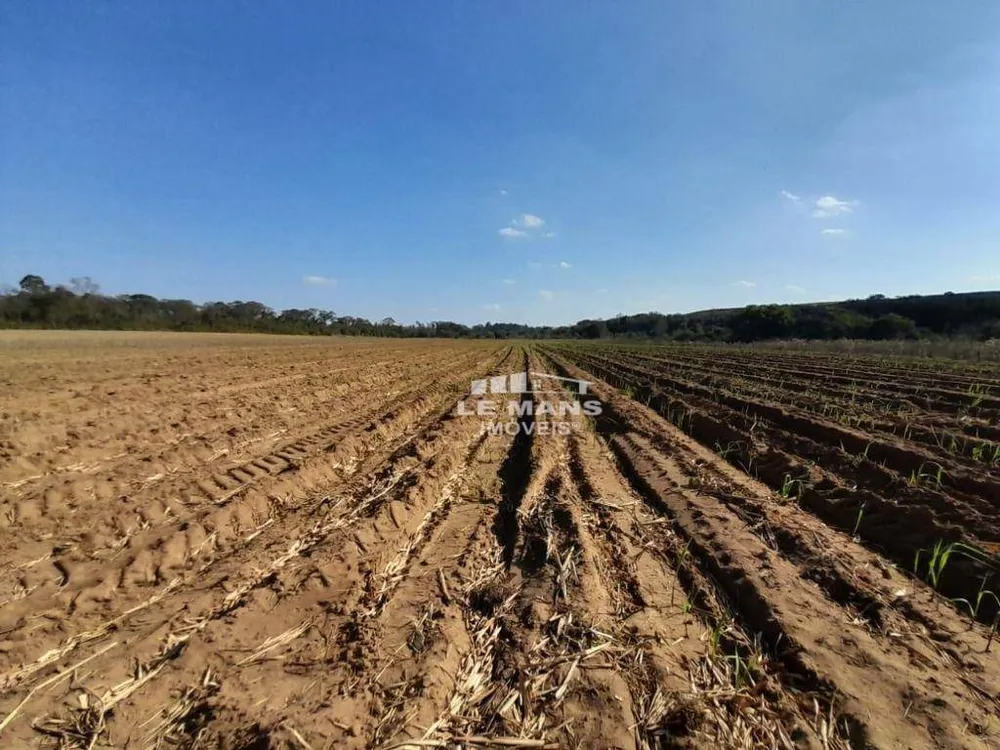 Terreno, 70 hectares - Foto 3