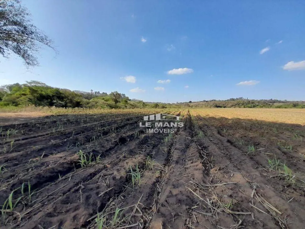 Terreno, 70 hectares - Foto 4