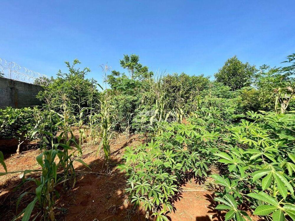 Chácara à venda com 3 quartos, 196m² - Foto 4