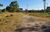 Terreno, 2 hectares - Foto 3