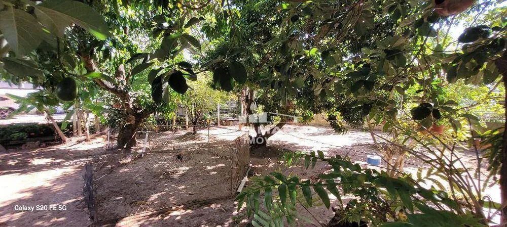 Chácara, 3 quartos, 1250 m² - Foto 4
