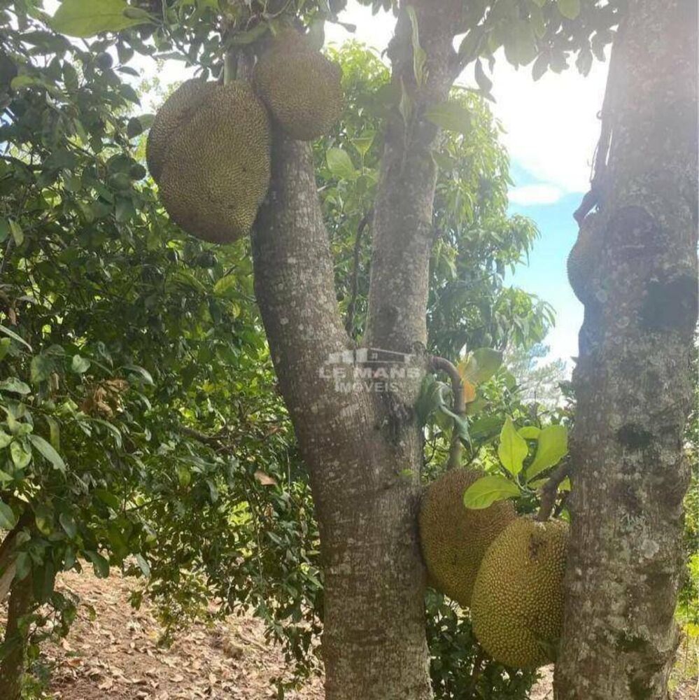 Chácara, 2 quartos, 1000 m² - Foto 7