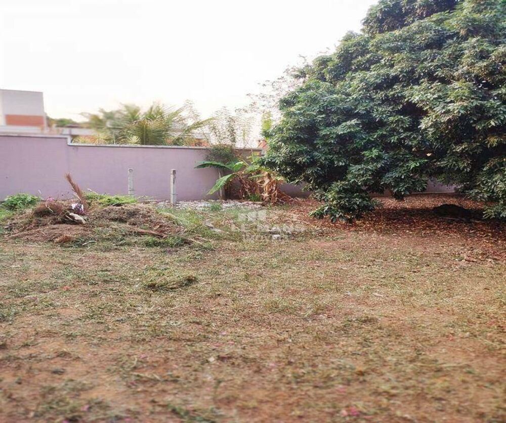 Terreno, 290 m² - Foto 6