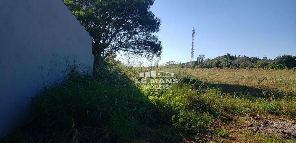 Terreno, 3 hectares - Foto 2