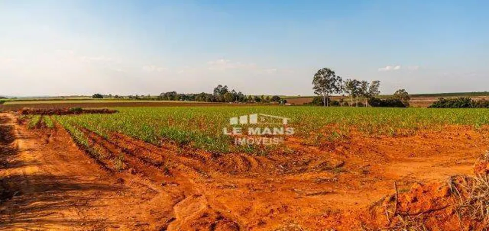 Terreno, 7 hectares - Foto 3