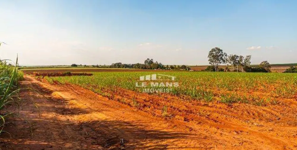 Terreno, 7 hectares - Foto 4