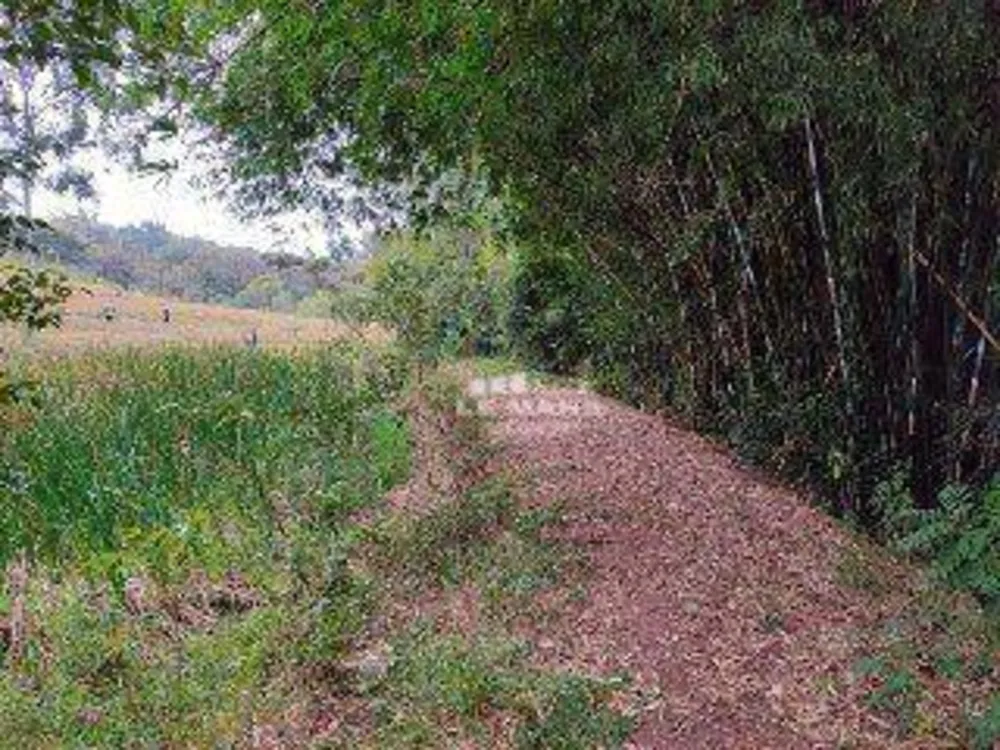 Sítio, 3 quartos, 4 hectares - Foto 11