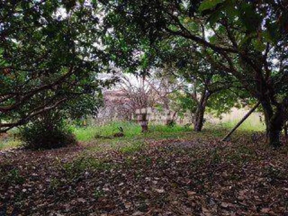 Sítio, 3 quartos, 4 hectares - Foto 4