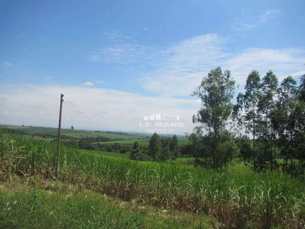 Terreno, 19 hectares - Foto 4
