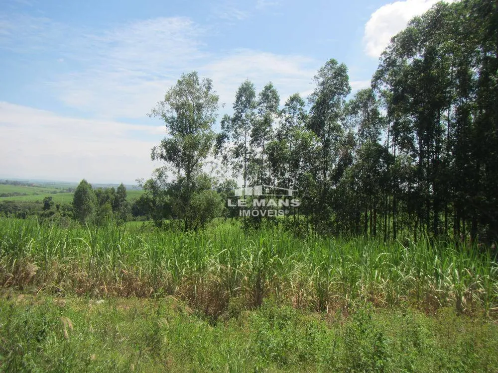 Terreno, 19 hectares - Foto 3