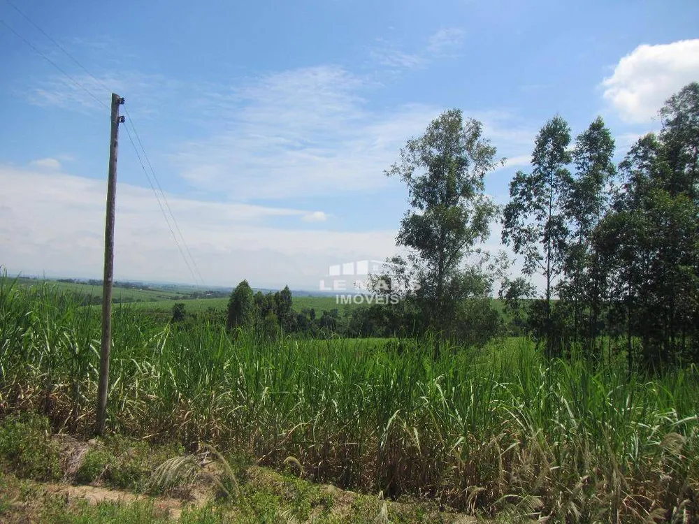 Terreno, 19 hectares - Foto 2