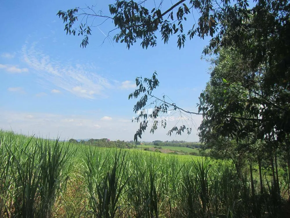 Terreno, 19 hectares - Foto 8