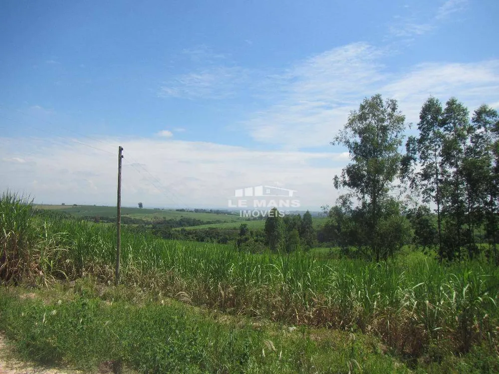 Terreno, 19 hectares - Foto 6