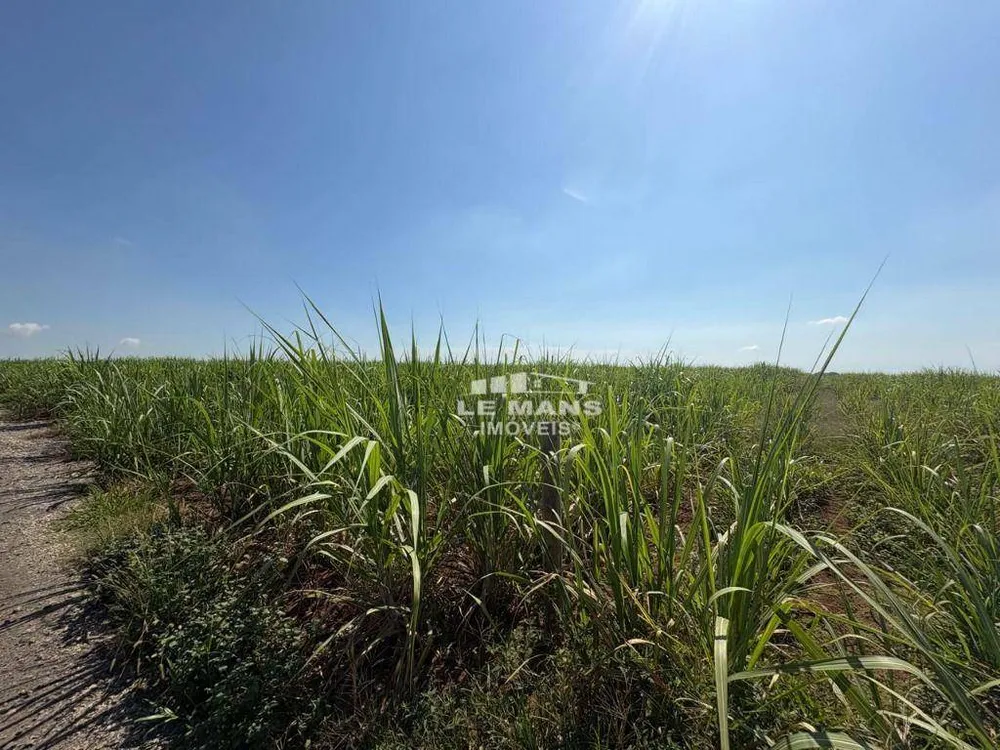 Terreno, 4 hectares - Foto 4