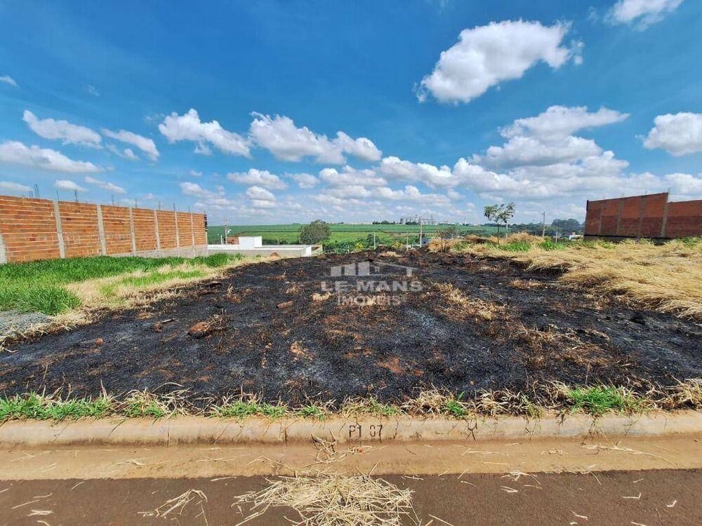 Terreno, 250 m² - Foto 3