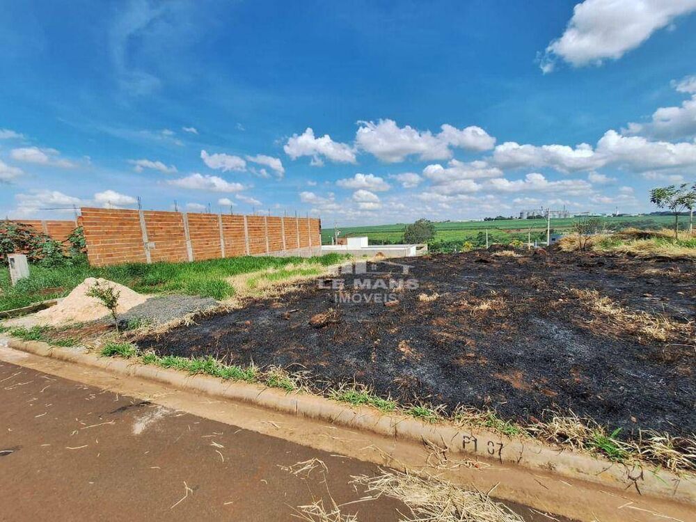 Terreno, 250 m² - Foto 5