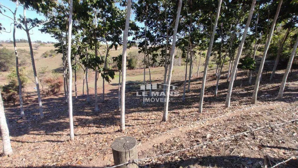 Sítio, 9 quartos, 2 hectares - Foto 7