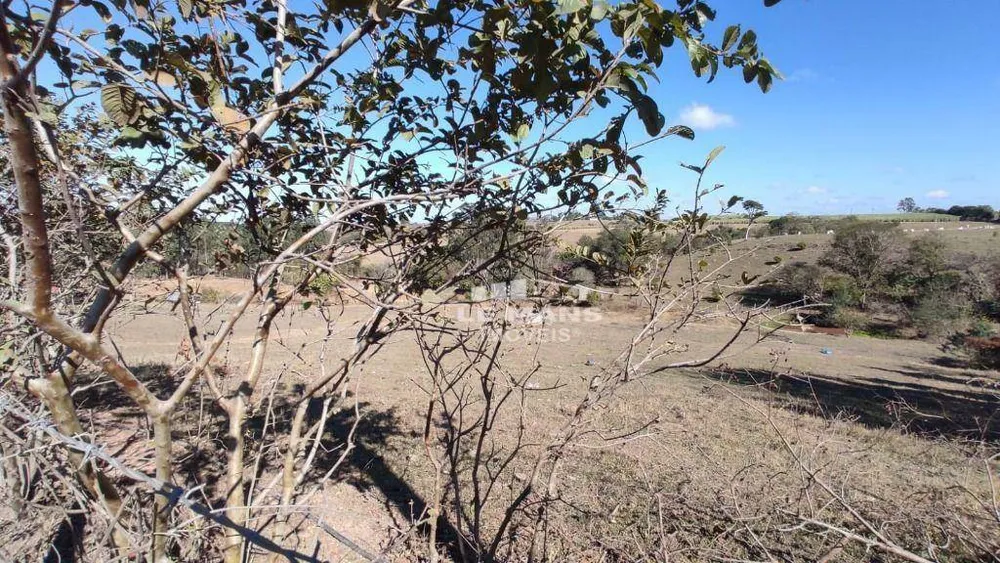 Sítio, 9 quartos, 2 hectares - Foto 11