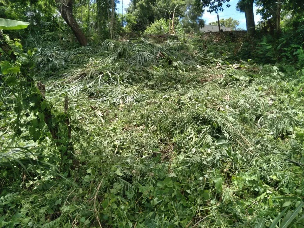 Terreno à venda, 426M2 - Foto 3