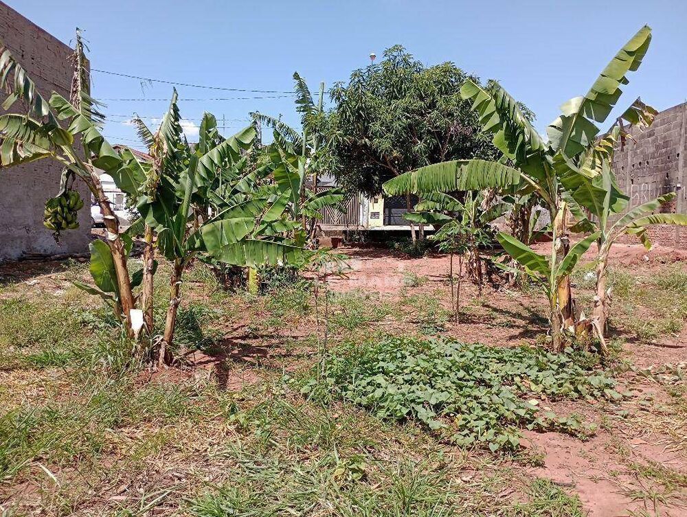 Terreno à venda, 350M2 - Foto 8