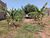 Terreno, 350 m² - Foto 8