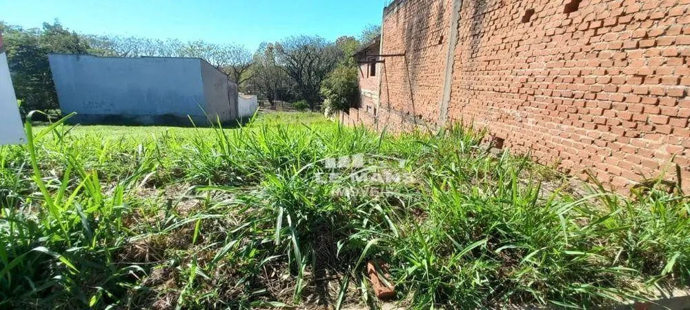 Terreno, 300 m² - Foto 5
