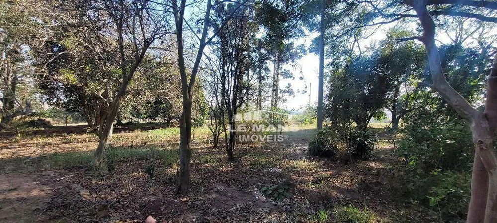 Sítio, 3 hectares - Foto 4