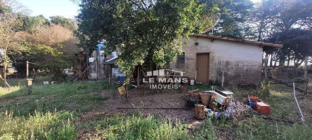 Sítio, 3 hectares - Foto 4